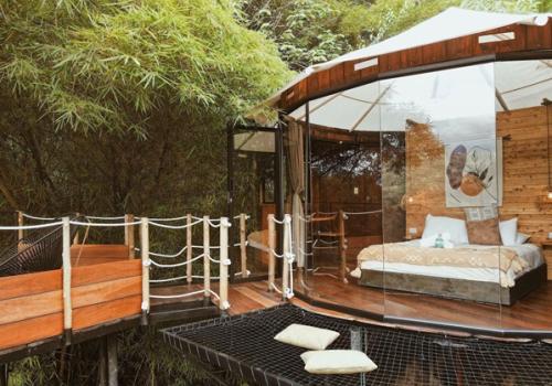 Lugares imperdibles para celebrar el Día de Velitas en Colombia en Airbnb